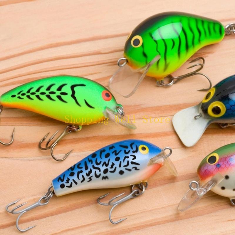 KX4B 6 Buah Templat Umpan Panc - Fishing Equipment Used ulasan dan harga
